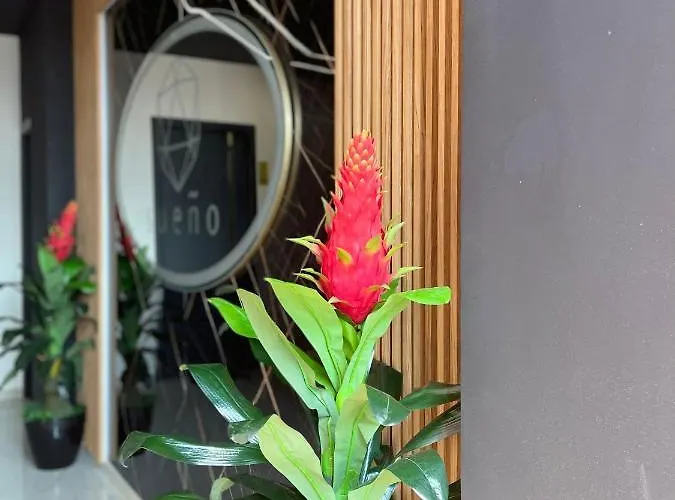 Sueno & Appartement *